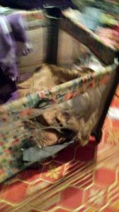 Bou Bou's crib after the flash-bang grenade went off with him in it.