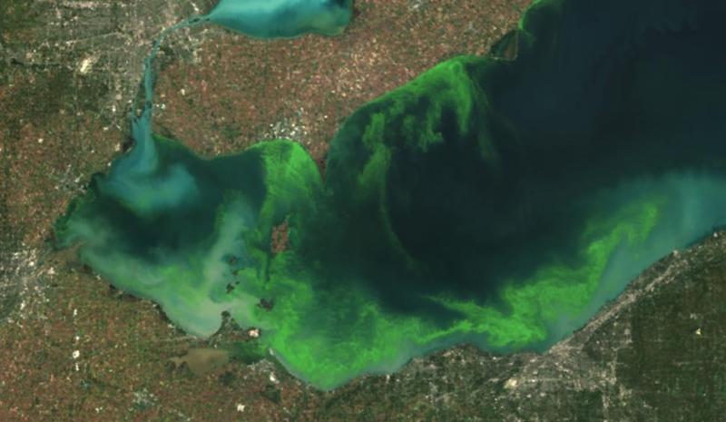The algae bloom from space, circa 2011. Toledo is off the westernmost tip of Lake Erie.