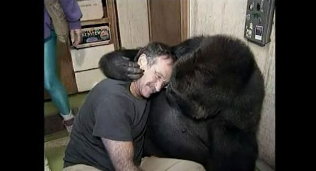 Robin Williams meets the famous gorilla Koko.